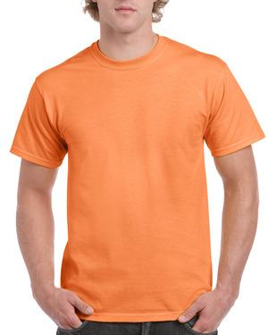 Gildan GI2000 - Ultra Cotton Adult T-Shirt