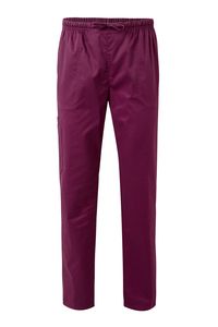 Velilla 533006S - STRETCH SCRUB TROUSERS Eggplant